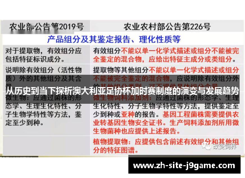 从历史到当下探析澳大利亚足协杯加时赛制度的演变与发展趋势 从历史到当下探析澳大利亚足协杯加时赛制度的演变与发展趋势