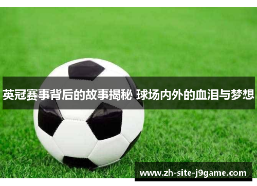 英冠赛事背后的故事揭秘 球场内外的血泪与梦想