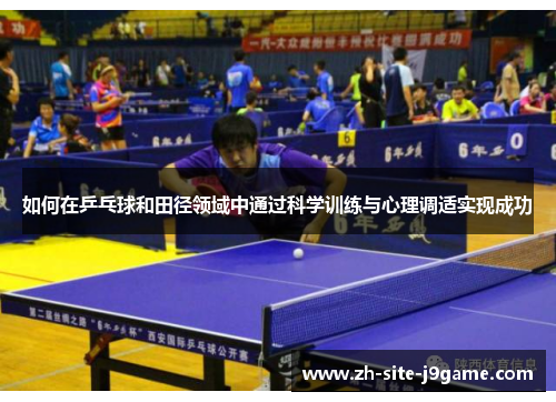 如何在乒乓球和田径领域中通过科学训练与心理调适实现成功