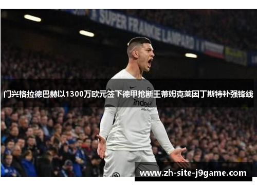门兴格拉德巴赫以1300万欧元签下德甲抢断王蒂姆克莱因丁斯特补强锋线